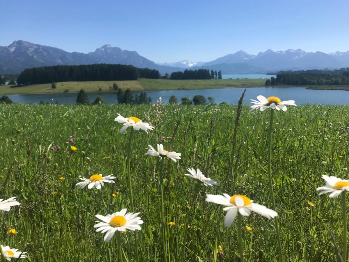 Villa Ferienhaus Lieblingsplatz-Füssen - stilvoll urlauben&wohnen Exterior foto