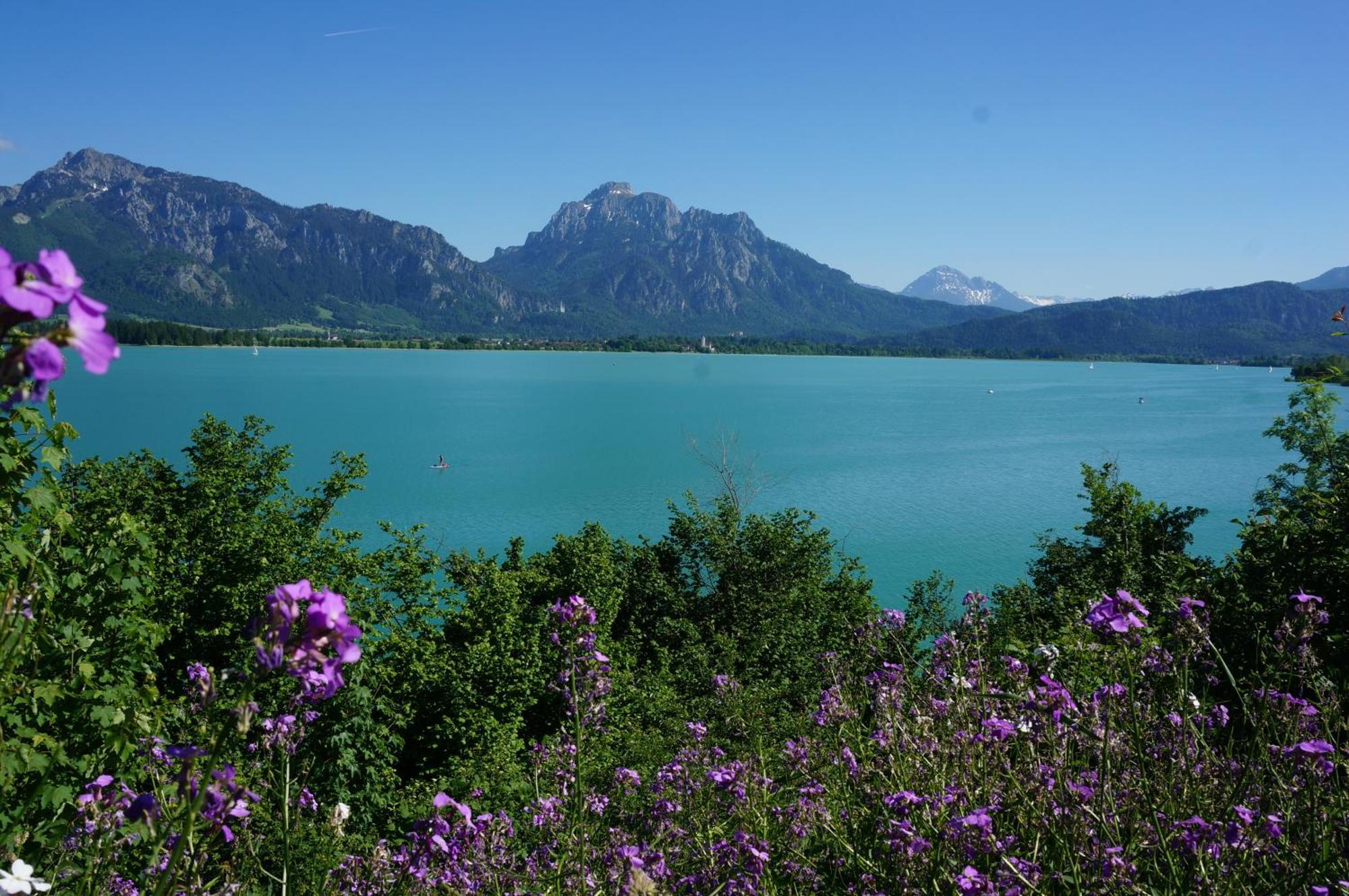 Villa Ferienhaus Lieblingsplatz-Füssen - stilvoll urlauben&wohnen Exterior foto